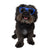 CKlarity Small WAYV’ Dog Glasses ( Clear Lens)