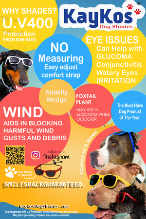 CKlarity Large WAYV’ Dog Glasses ( Clear Lens)